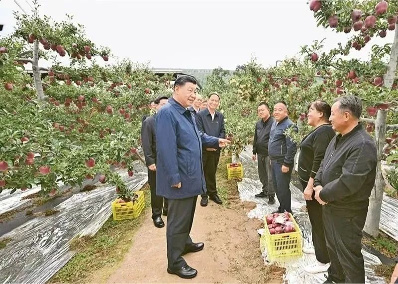 图片说明