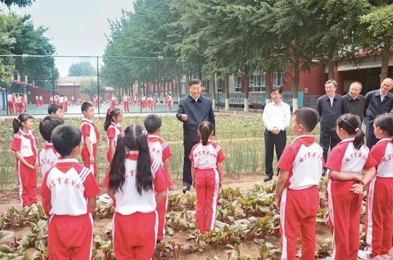 图片说明