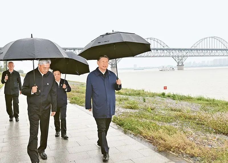 图片说明