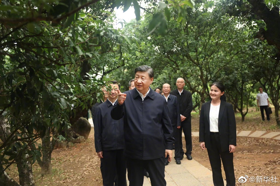 图片说明