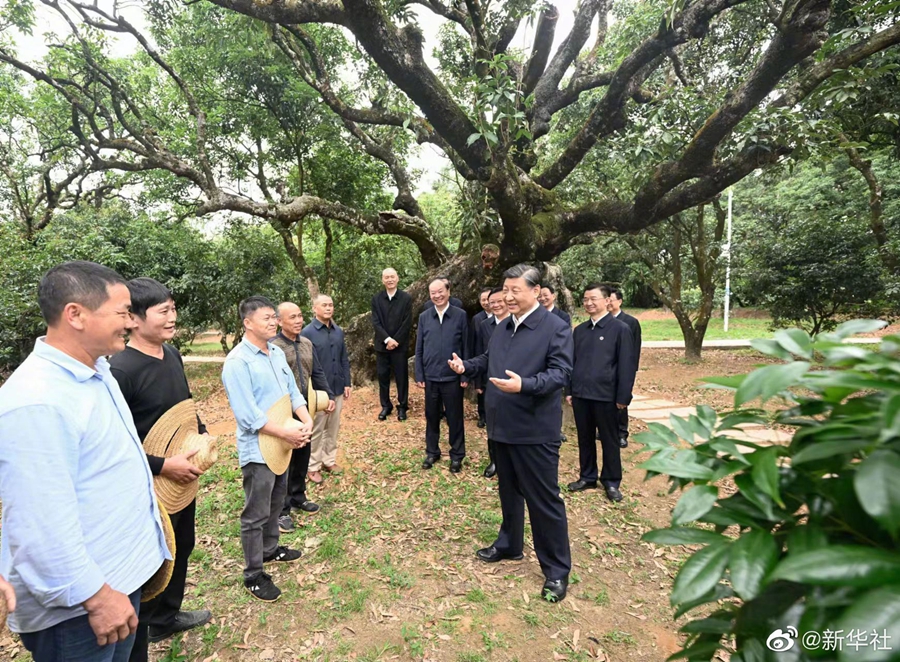 图片说明