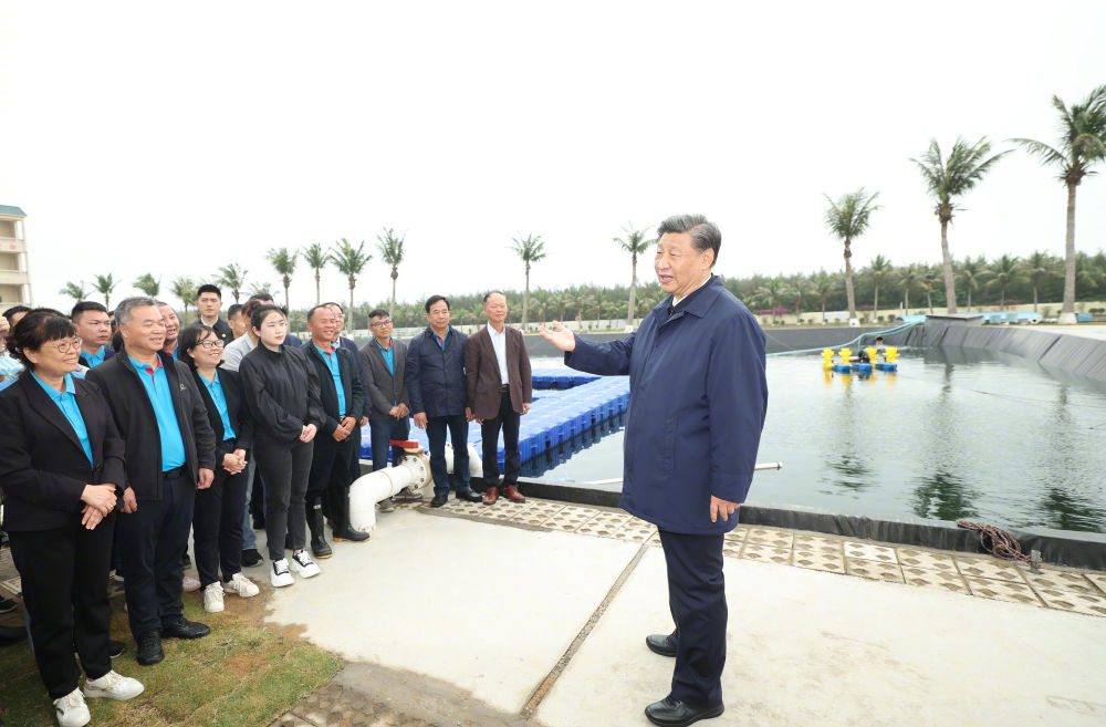 图片说明