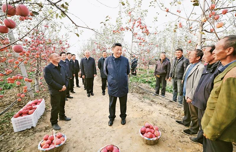 图片说明