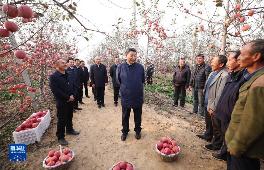 图片说明