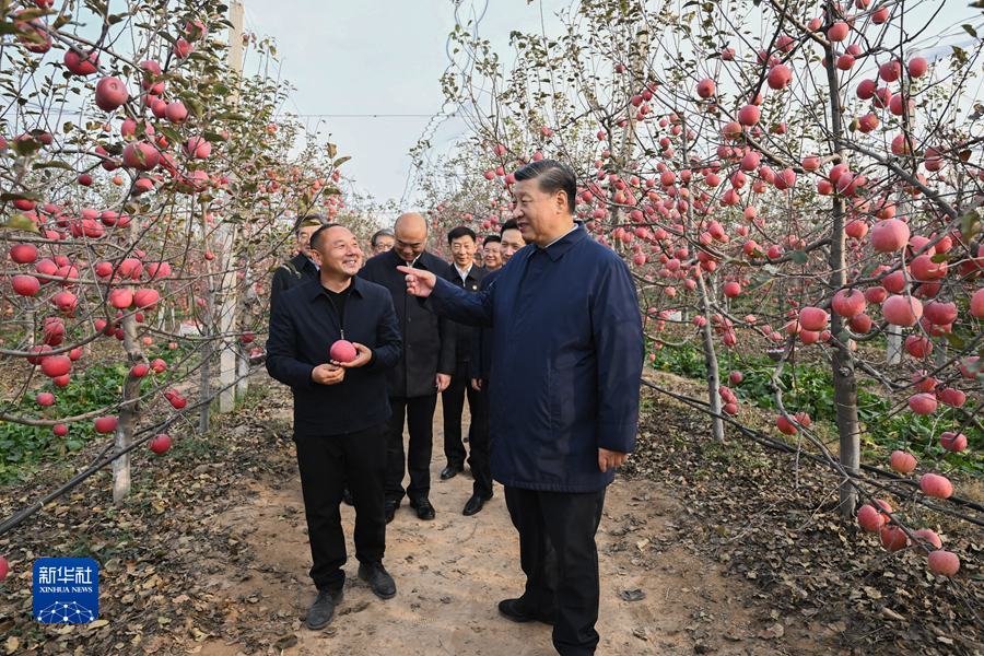 图片说明
