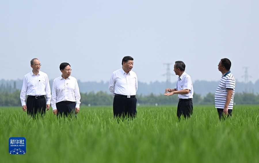 图片说明