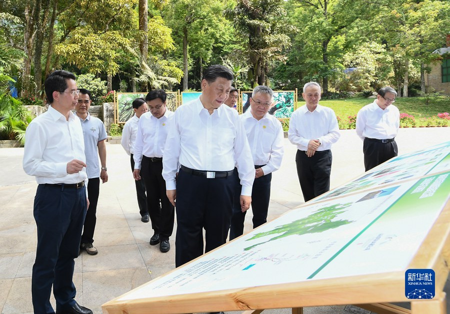 图片说明