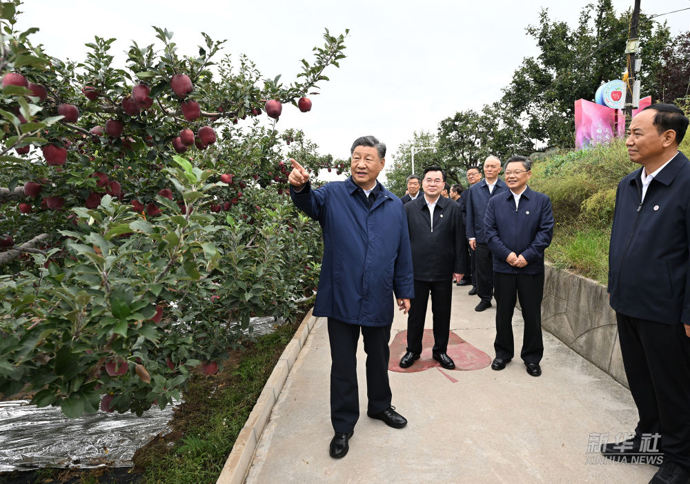 图片说明