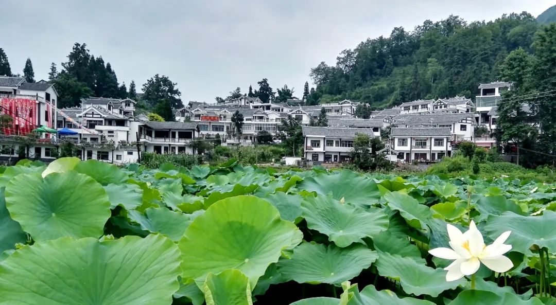 图片说明