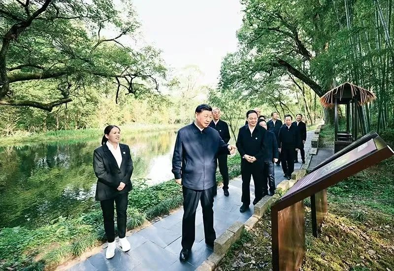 图片说明