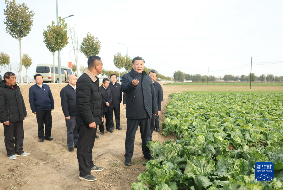 图片说明