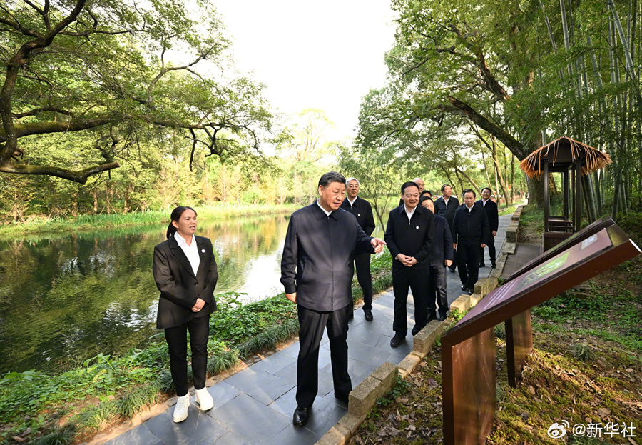 图片说明