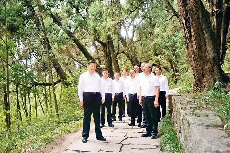 图片说明
