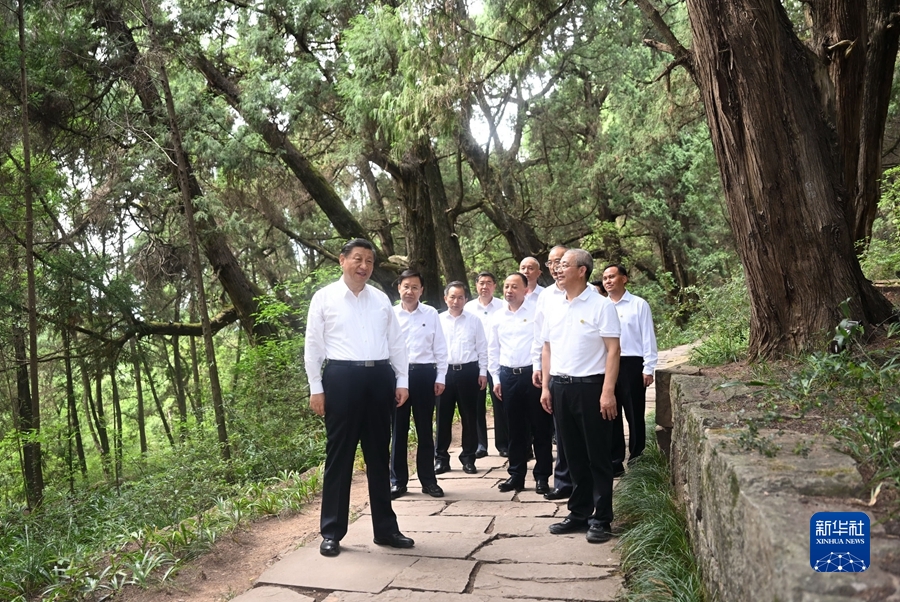 图片说明