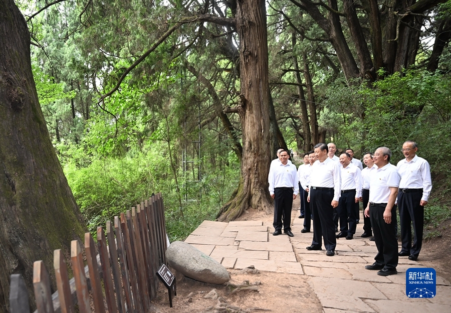 图片说明
