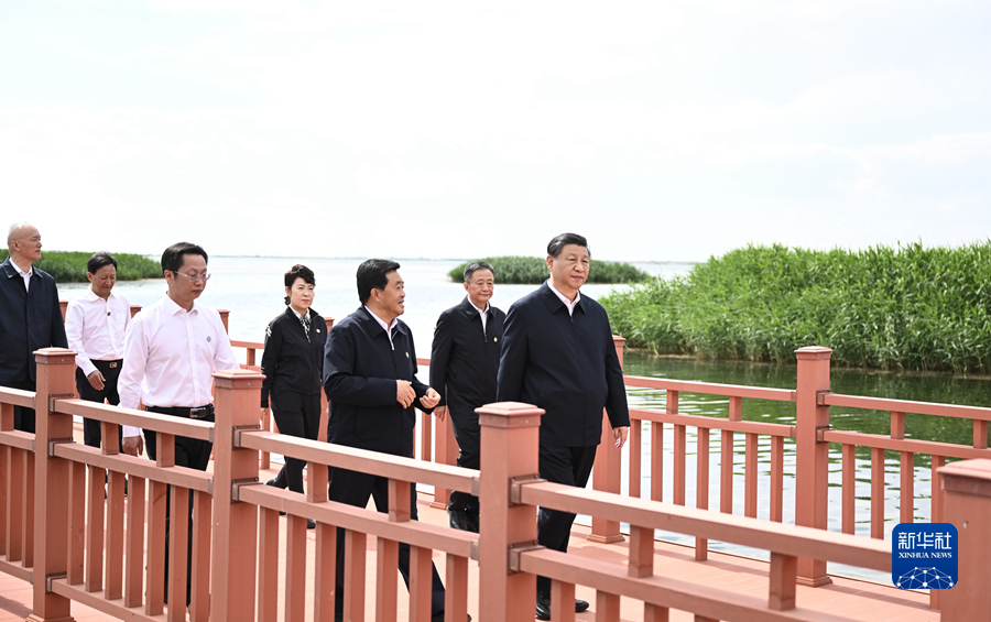 图片说明