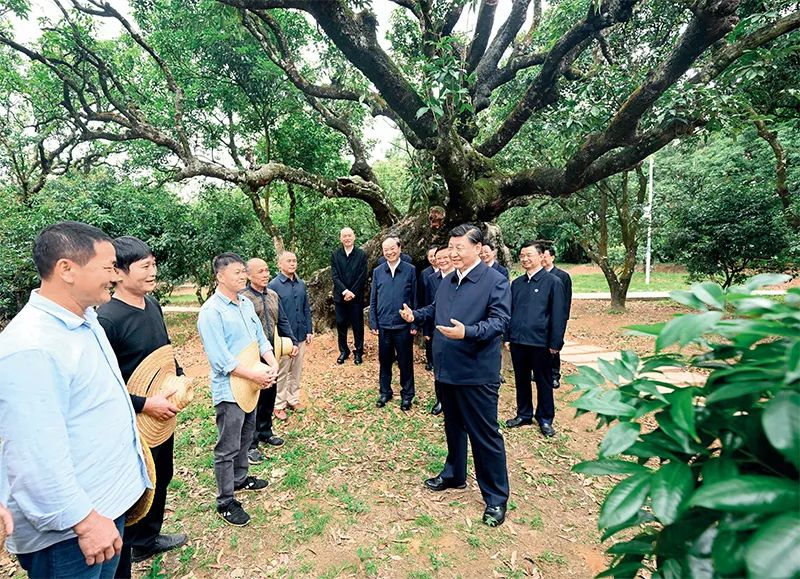 图片说明