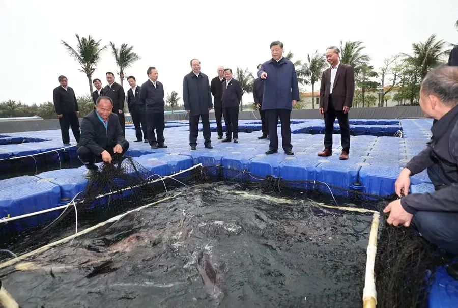 图片说明