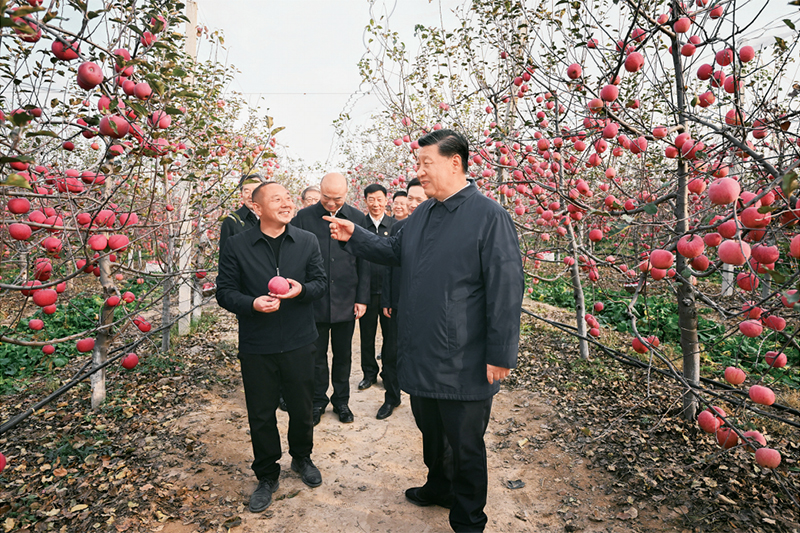 图片说明