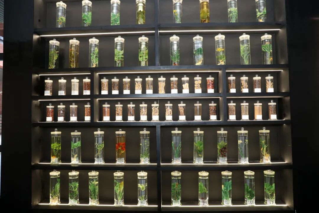 图片说明