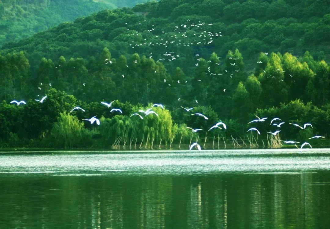 图片说明