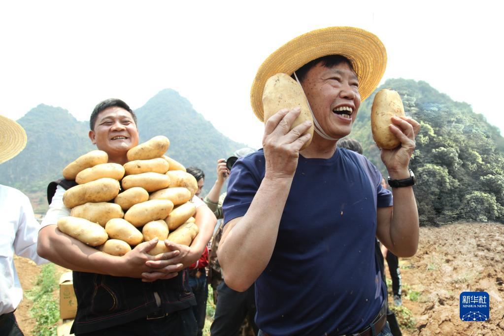 图片说明