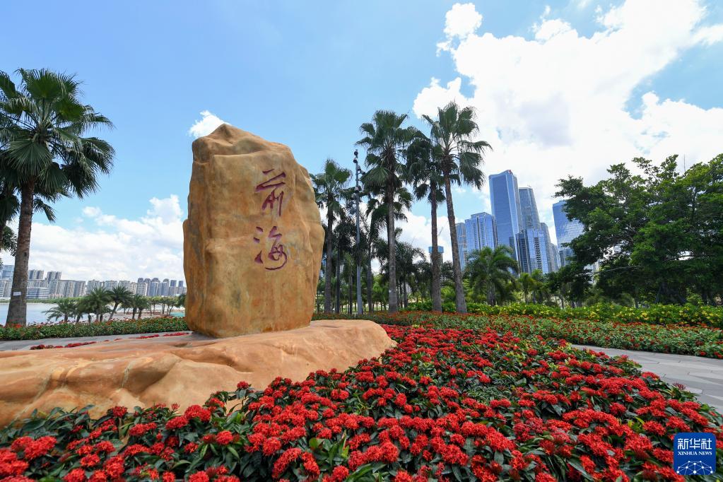 图片说明