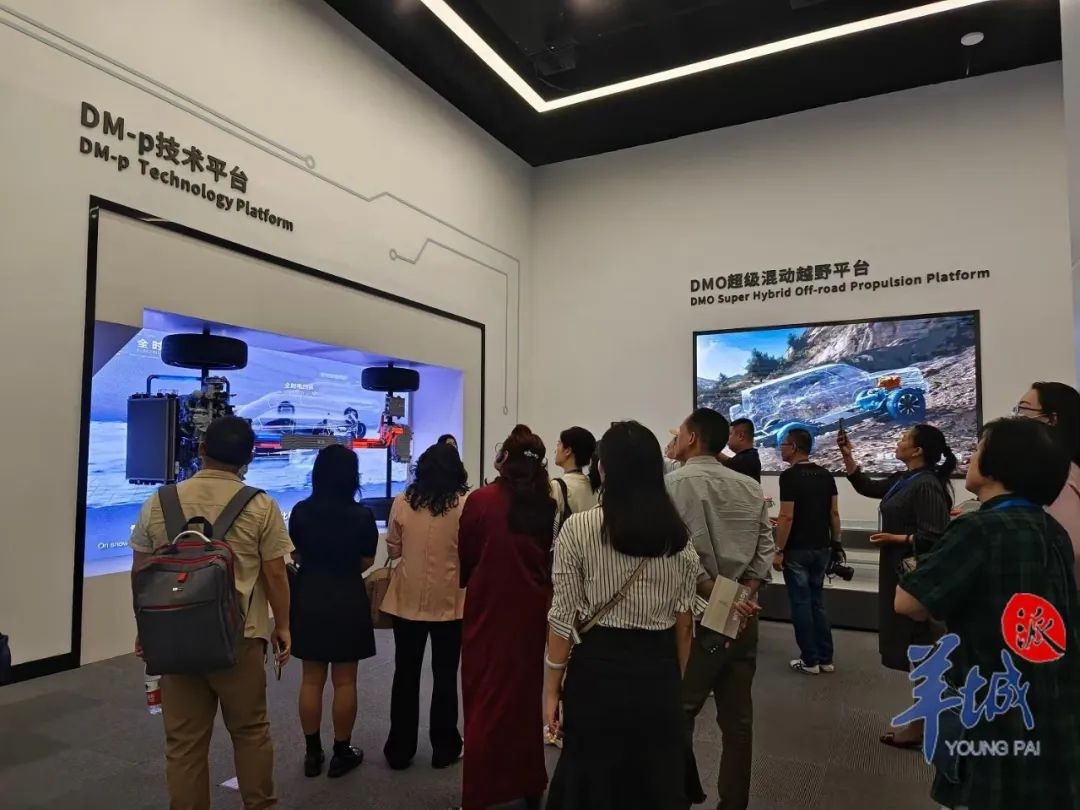 图片说明
