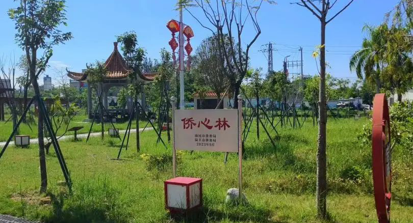 图片说明
