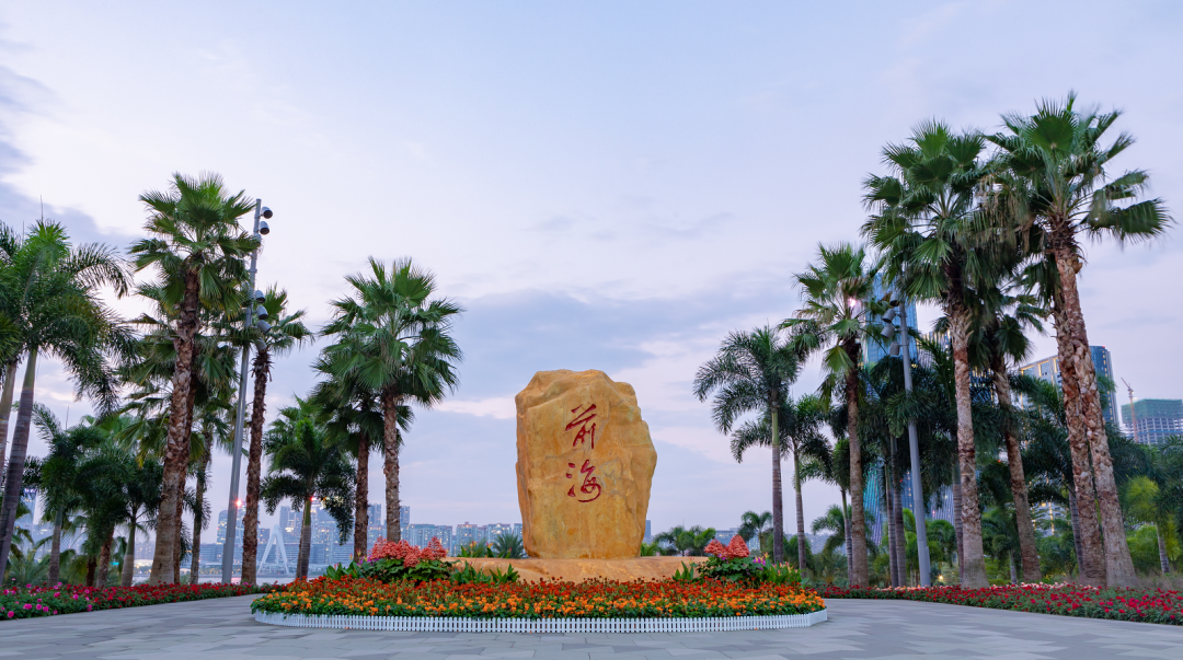 图片说明