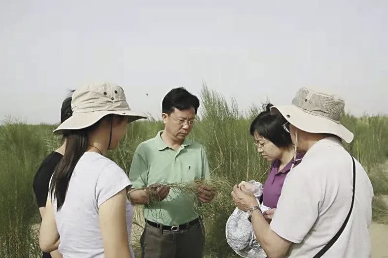 图片说明