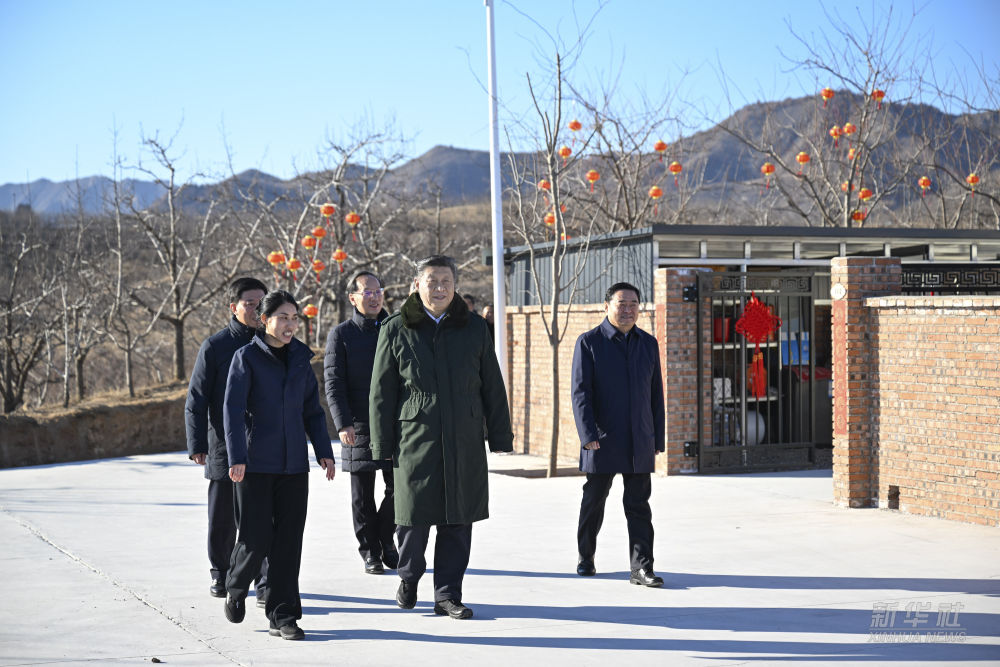 图片说明
